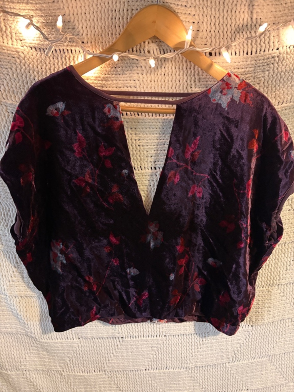 Ecote Velvet Floral V-Neck Blouse in Plum and Red Accents